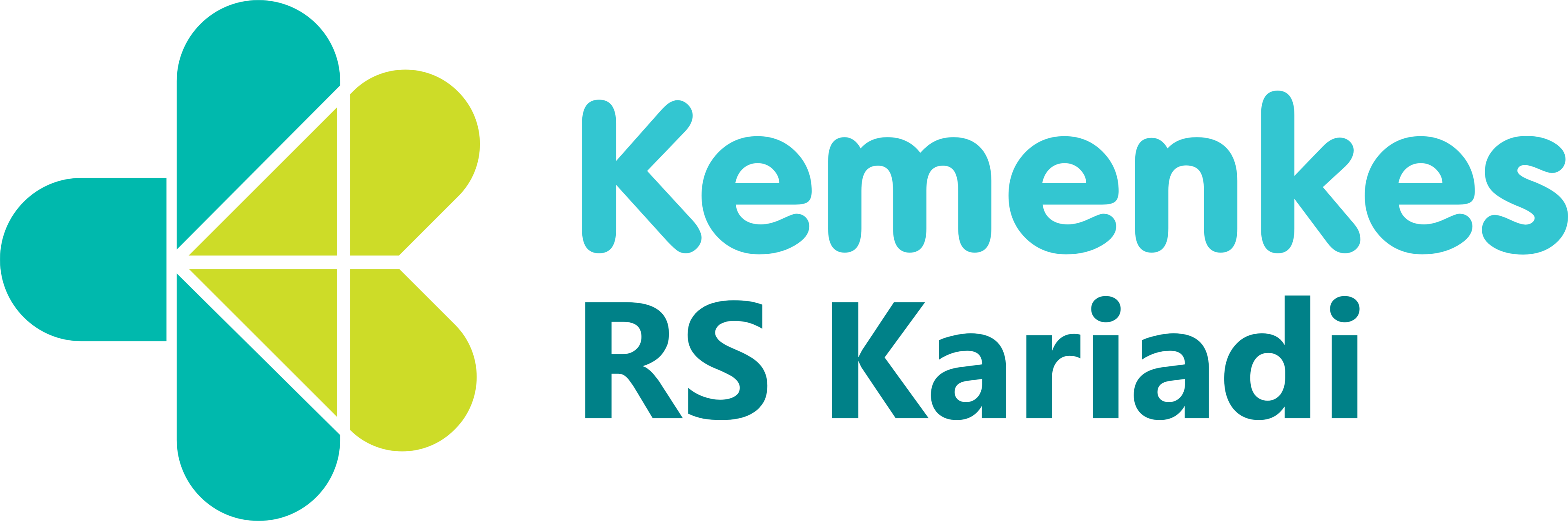 Logo RS Kariadi